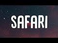 Tyler The Creator SAFARI Lyrics
