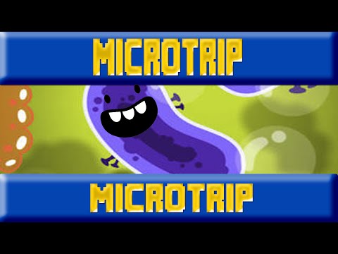 MicroTrip Android