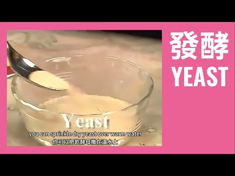 披薩 發酵 Yeast 烹飪教室 2: 麵包 鬆餅 煎餅 自製 注意事項 中英對照 雙語字幕 國語配音