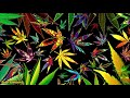 The Best Music To Listen To While High Smoking Weed