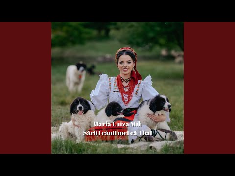 Sariti Canii Mei Ca-I Bai