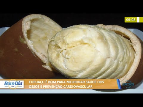 Cupuaçu é bom para melhorar saúde dos ossos e prevenção cardiovascular 06 08 2021