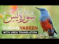 Surah yasin | Surah Yasin (Yaseen) | Full With Arabic | Beautiful recitation | یس سورہ