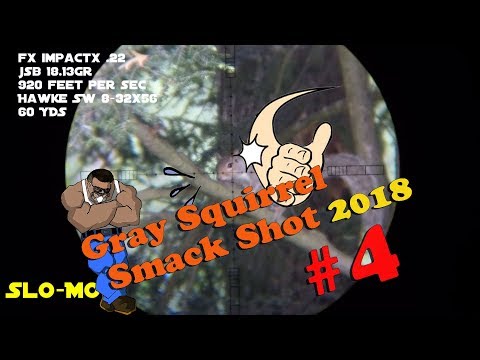 Gray Squirrel Smackshot #4 of 2018