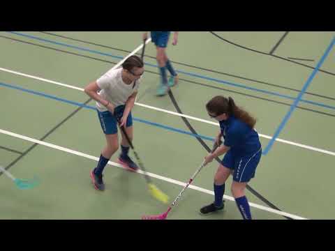 Nibacos valk - Blue Fox valk Iivarin Liikuntahalli Töysä