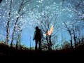 The Light - The Album Leaf