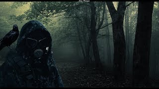 Контракт на хорошую жизнь 🔴 S T A L K E R (полное прохождение)