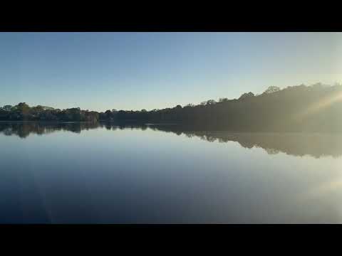 Hardy Pond, Waltham, MA