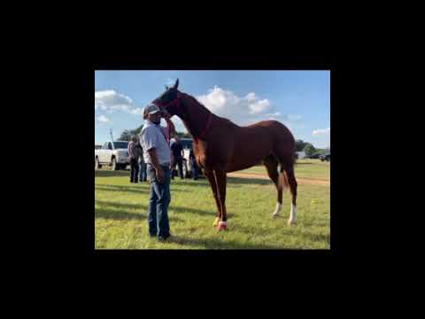 “Corrido de Alfredo Varela” (corridos personalizados)