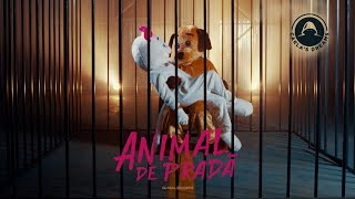 Carla&#39;s Dreams - Animal de Prada | Official Visualizer