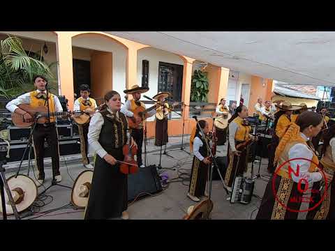 Y Andale | Mariachi mixto hermanos Chavez