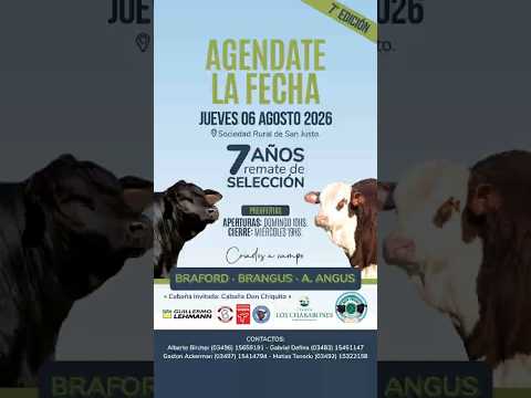 7° Remate de Selección: Cabañas Los Charabones y Don Pedro junto a la Lehmann: Jueves 6 de agosto