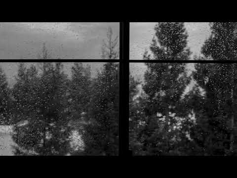 McKinley Mitchell - The Town I Live In