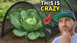I Tested The AMAZING New Netting That Protects ALL Crops!