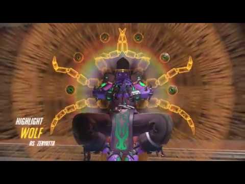 wolf's highlight zen 18 10 15 18 35 02