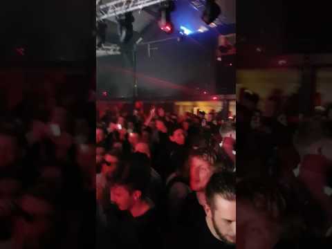 Tom Shorterz rainbow