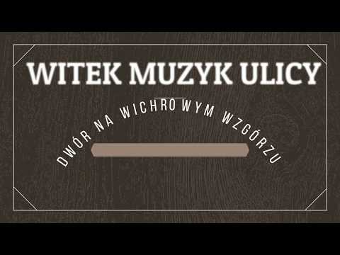 Koncert Witek Muzyk Ulicy - Dwór na Wichrowym Wzgórzu/Przybysławice 06.01.2018