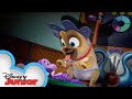 Young Pups Puppy Playcare Puppy Dog Pals Disney Junior