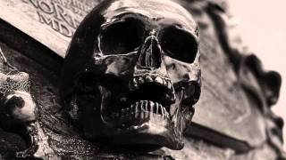 August Winterman by Dead Poetic