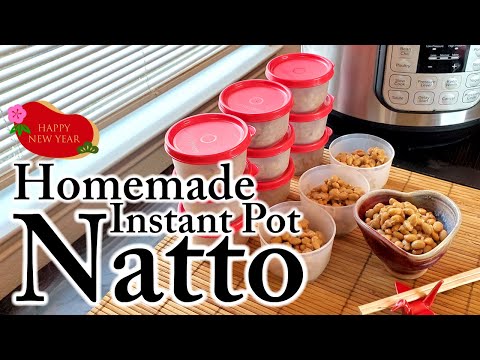 Homemade Natto using an Instant Pot, ASMR, Recipe, Saving, Bible