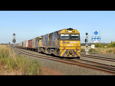 3PM7 Pacific National Container Train (17/12/2021) - PoathTV Australian Railways