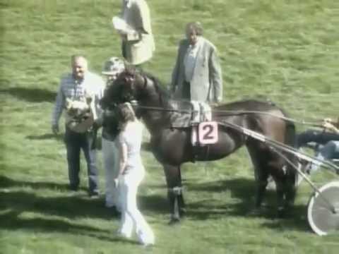 Boucher le Blanc & André Bakker winnen Vierjarigen Sprintkampioenschap - Duindigt 29 juli 2012