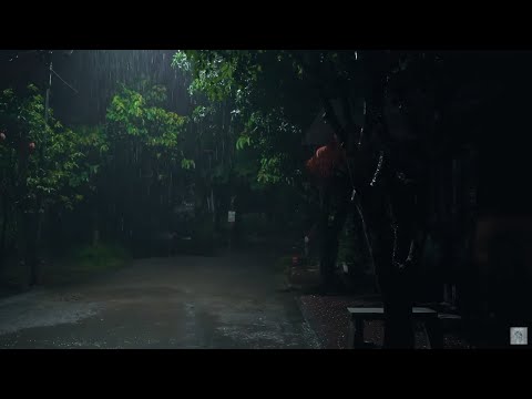 Pacific Northwest Rain & Thunder 🌧💧White Noise Sounds for Sleep, Studying or Relaxation At Night