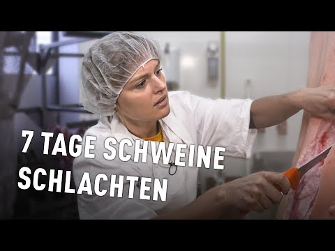 Als Vegetarierin im Schlachthaus | Doku