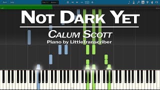 Calum Scott - Not Dark Yet (Piano Cover) by LittleTranscriber