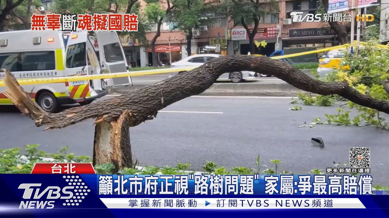 樹砸死父!暫無法領遺體 女兒:如傷口撒鹽