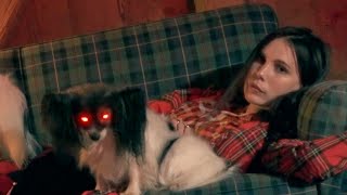 Musik-Video-Miniaturansicht zu Bloodhound Songtext von Skott