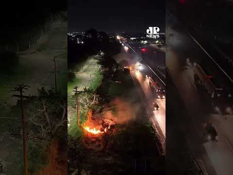 Fogo na vegetação assusta motoristas em São Carlos (SP)