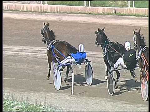 Trotto 08/10/2015 - 3 ° corsa