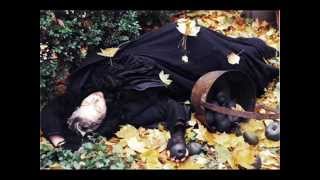 Faith and the Muse - Muted Land.