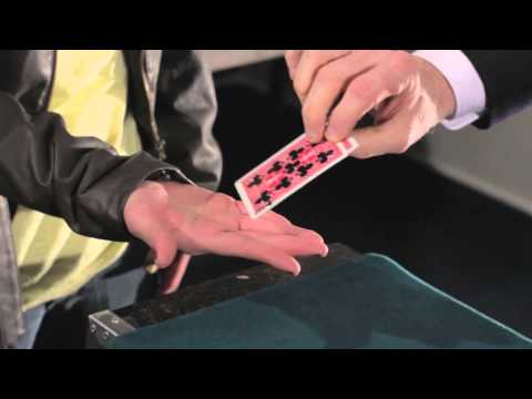 The Magic Spark - Mini Documentary