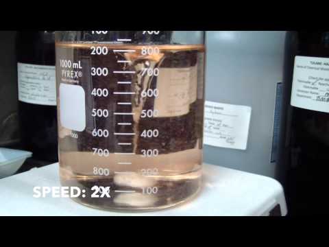 Belousov–Zhabotinsky (BZ) Reaction