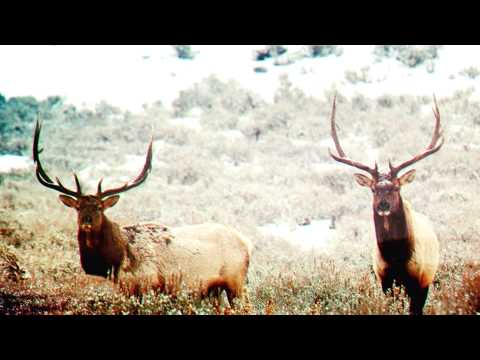 02. Kryhoo - Colorado [Black CD]