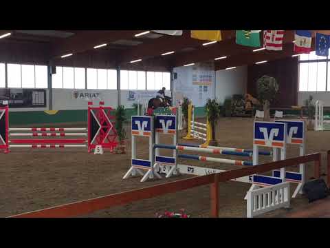 2020 03 04 Lagona 7,4 Springpferde A