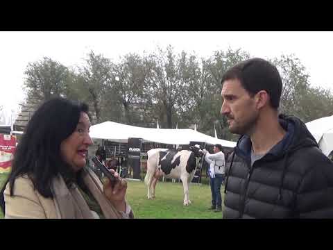 Entrevista a Martín Rasino, Pte  de Sociedad Rural Pozo del Molle, en la Fiesta del Holando