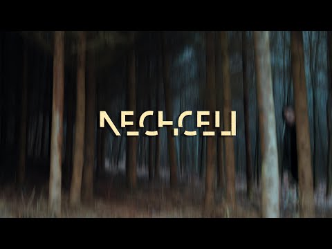 Seky - Nechceli |Official Lyric Video|