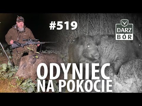 Darz Bór odc  519 „ Z termo i nokto za gamratem podczas „lochania”