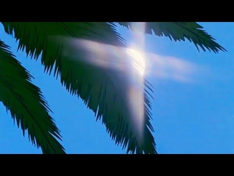 dream, ivory － dream, ivory ( slowed )