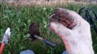 Looking For Gold With A Metal Detector - Marshall Metal Detecting