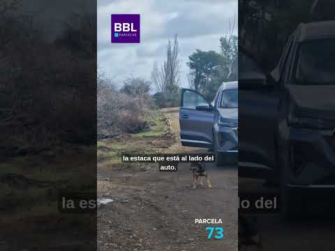 🏡 Parcela N°73 | Hacienda Cauquenes 🌿 A menos de 1 hora de la playa | Rol Propio