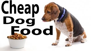 Best Dog Food Reviews - Cheap Dog Food Online - Purepetfood.com.uk