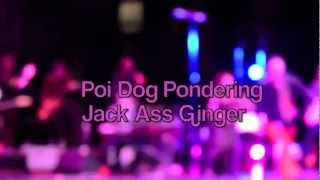 Poi Dog Pondering Jack Ass Ginger
