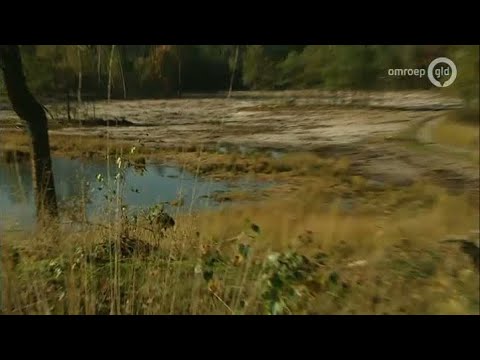 GLD Nieuws 24 oktober 2013 - Nieuws