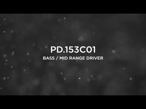 Precision Devices Product Focus - PD.153C01