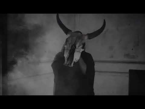 Dj Baracus The Healer - Too Fine (Official Music Video)