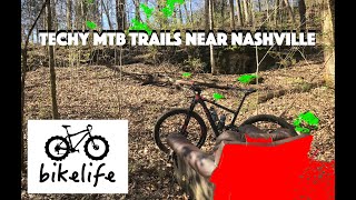 Hamilton Creek Trails